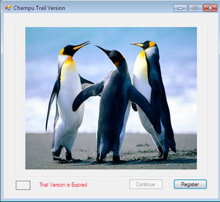 Dissembling the Target 